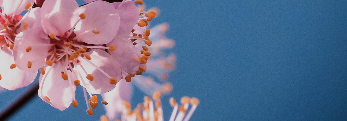 What is a Hypnotic Audio Session for Self-Love?